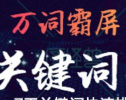 西藏优化网站公司