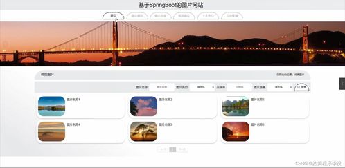 java计算机毕业设计基于的图片网站 附源码 springboot 开题 论文