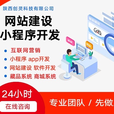 西安网站建设/推广