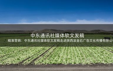 精准营销:中东通讯社媒体软文发稿走进陕西滚金石广告文化传播