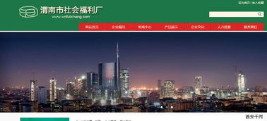 陕西省渭南市社会福利厂官方网站开通运行