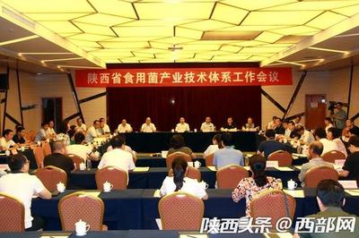 木耳香菇等特色食用菌产业咋发展?陕西在柞水定下了这些新举措