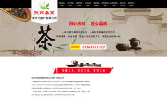 咸阳万企网络(万企互联) - 专业的网站建设服务商,提供网站建设、网站推广、微信营销、小程序、域名注册、虚拟主机、云服务器等服务。